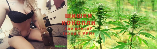крисы Арсеньев